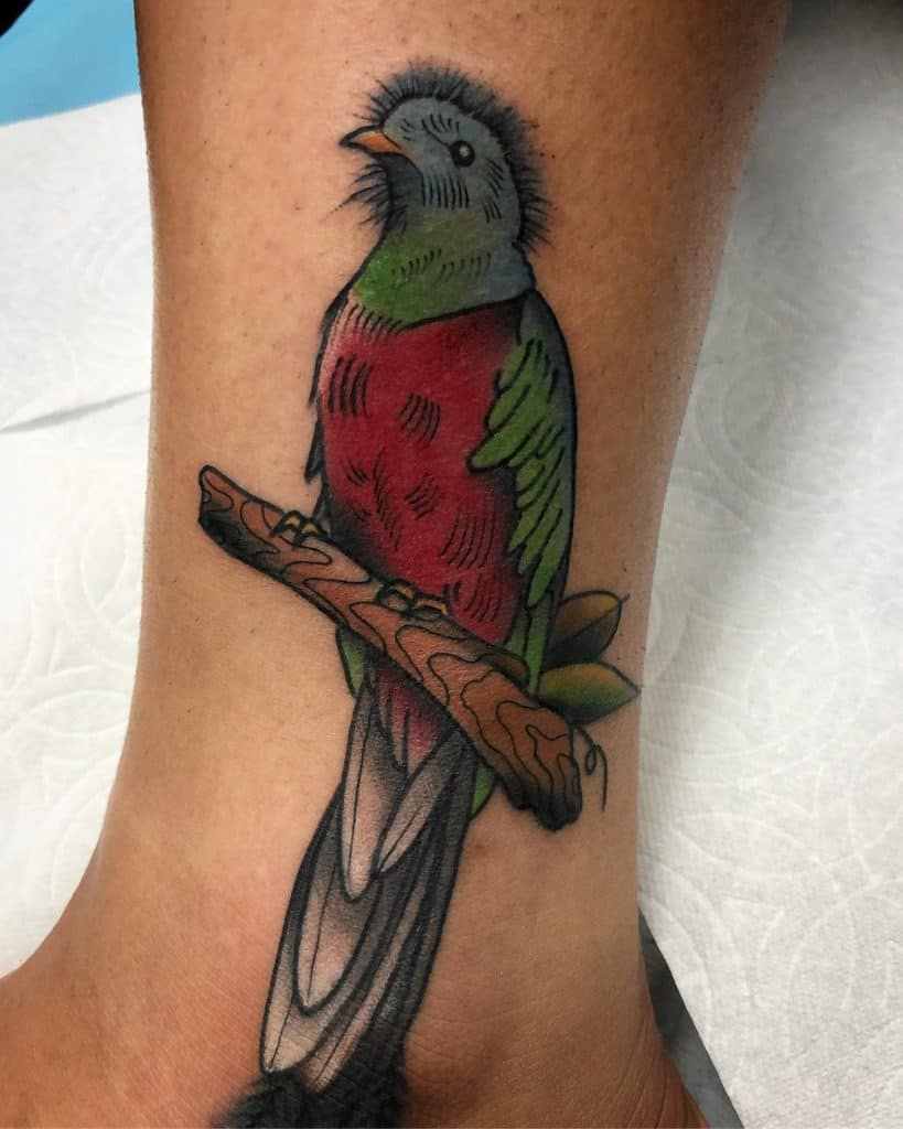 Small bird tattoos Quetzal tattoo Small bird tattoo