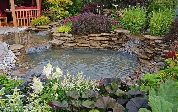 Aquatic Garden Backyard Waterfall