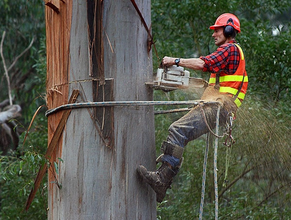 Top 50 Best Outdoor Jobs For Outdoorsmen - Careers Outside Of The Office