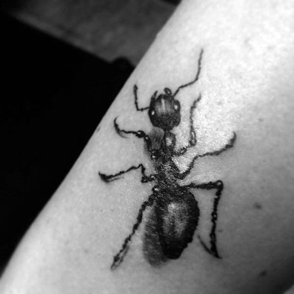 Arm Guys Tattoos With Ant Design