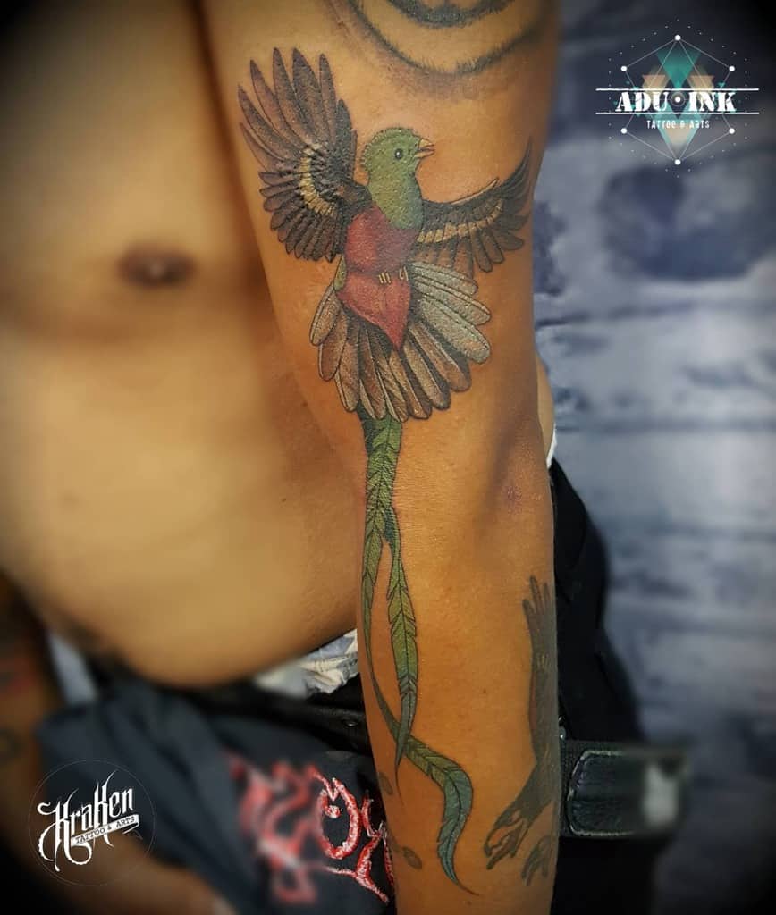 Quetzal Tattoo  Tattoo Studio  Tattoodo