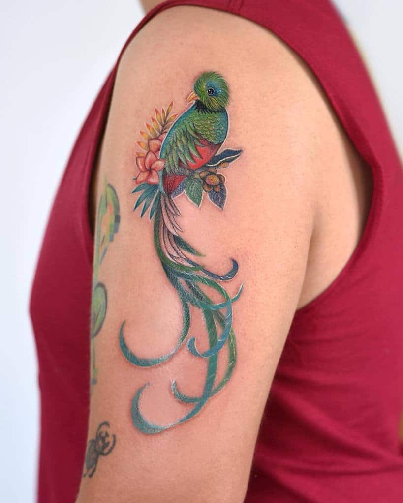 The Tattoo Shop on Twitter The national bird of Guatemala the Quetzal  from the talented arturgiltattoo   tattooshop tattoosupplies  blackandgrey bng realism realisitic realismtattoo animaltattoo  birdtattoo httpstcoiyzdZoWDAr  Twitter
