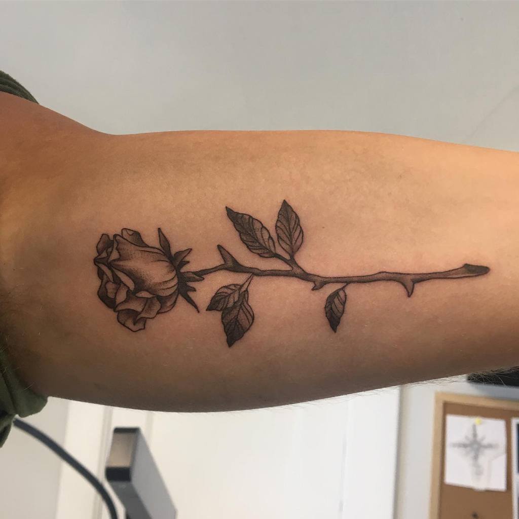 Black Rose Tattoo On Upper Arm