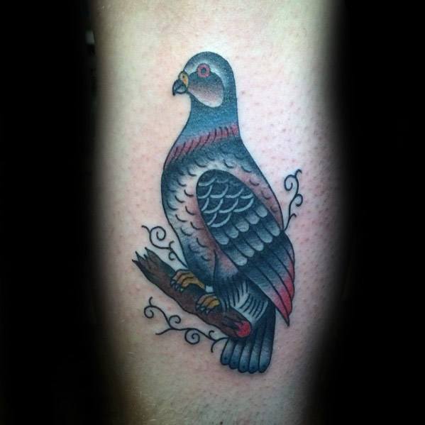 Artistic Male Pigeon Tattoo Ideas