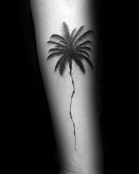 Artistic Palm Tree Simple Mens Forearm Tattoo