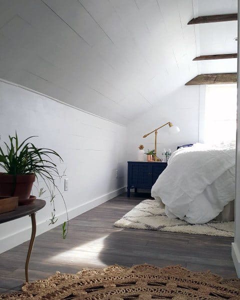attic bedroom with potted plants 