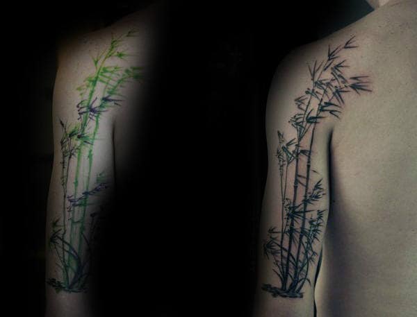 50 Bamboo Tattoo Designs For Men  Lush Greenery Ink Ideas