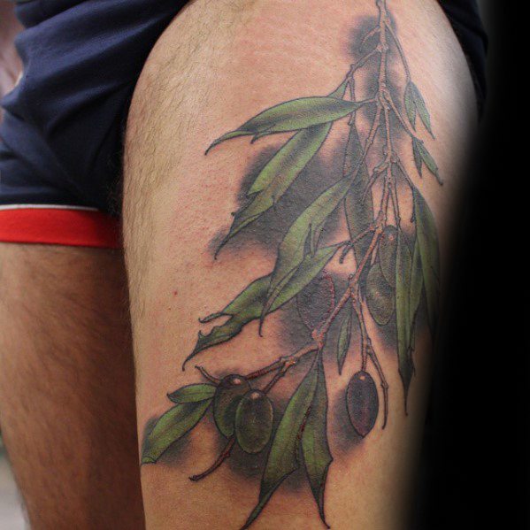 Awesome Olive Tree Branch Thigh Tattoos For Men