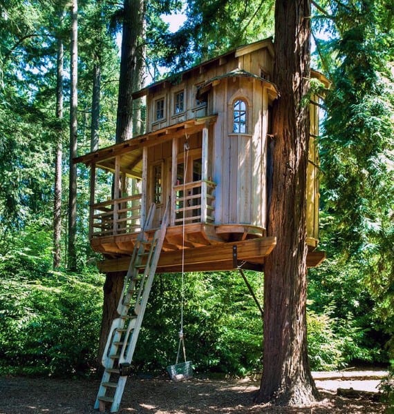 Awesome Tree House Designs