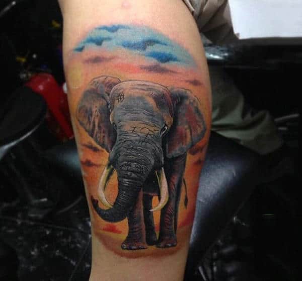 Baby Elephant And Pretty Sky Tattoo Male Forearms