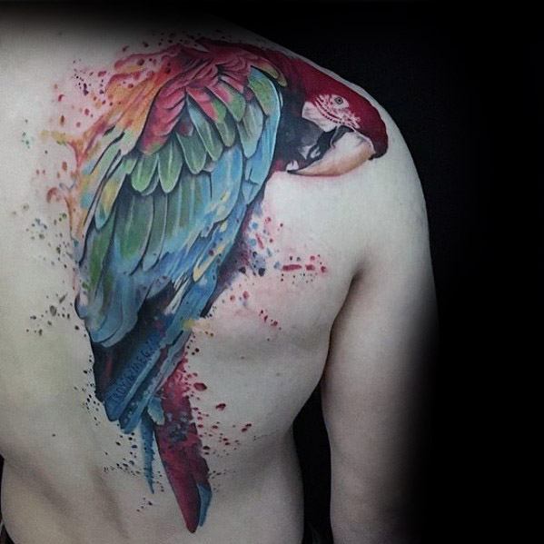 Parrot tattoos on chest and arm