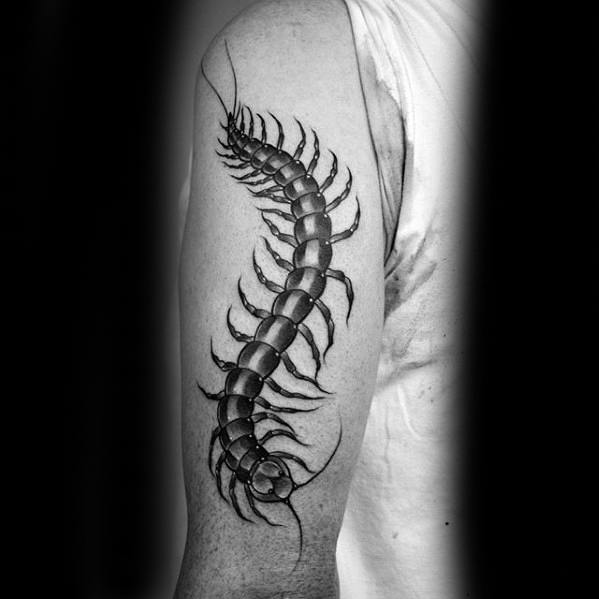 tattoo tattooing tattooart blacktattoo dotwork scolopendra  backttattoo keblacktattoo  Tattoos Insect tattoo Evil eye tattoo