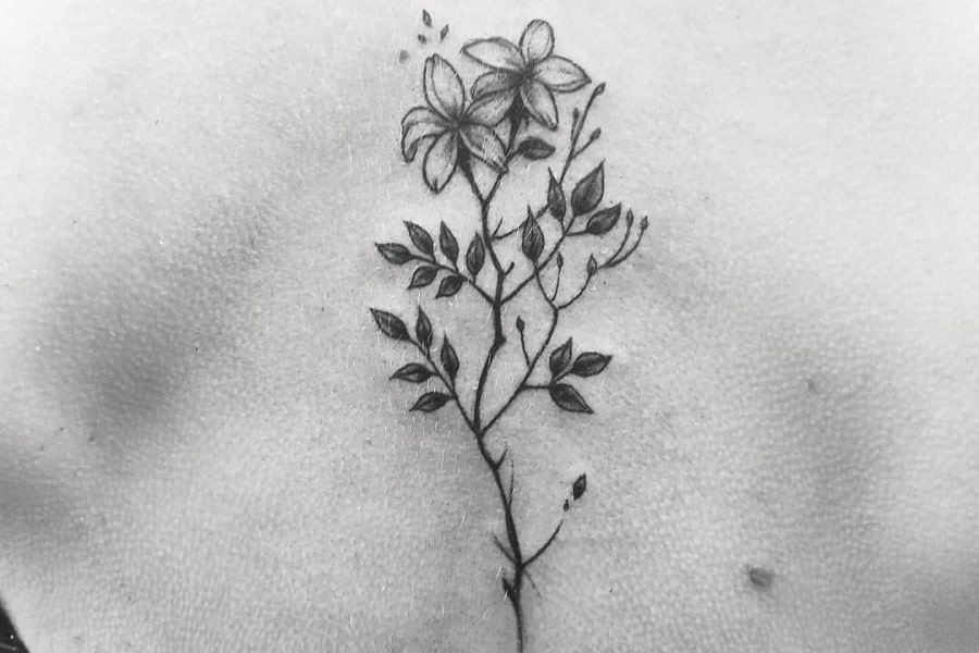 55 Jasmine Flower Tattoo Ideas