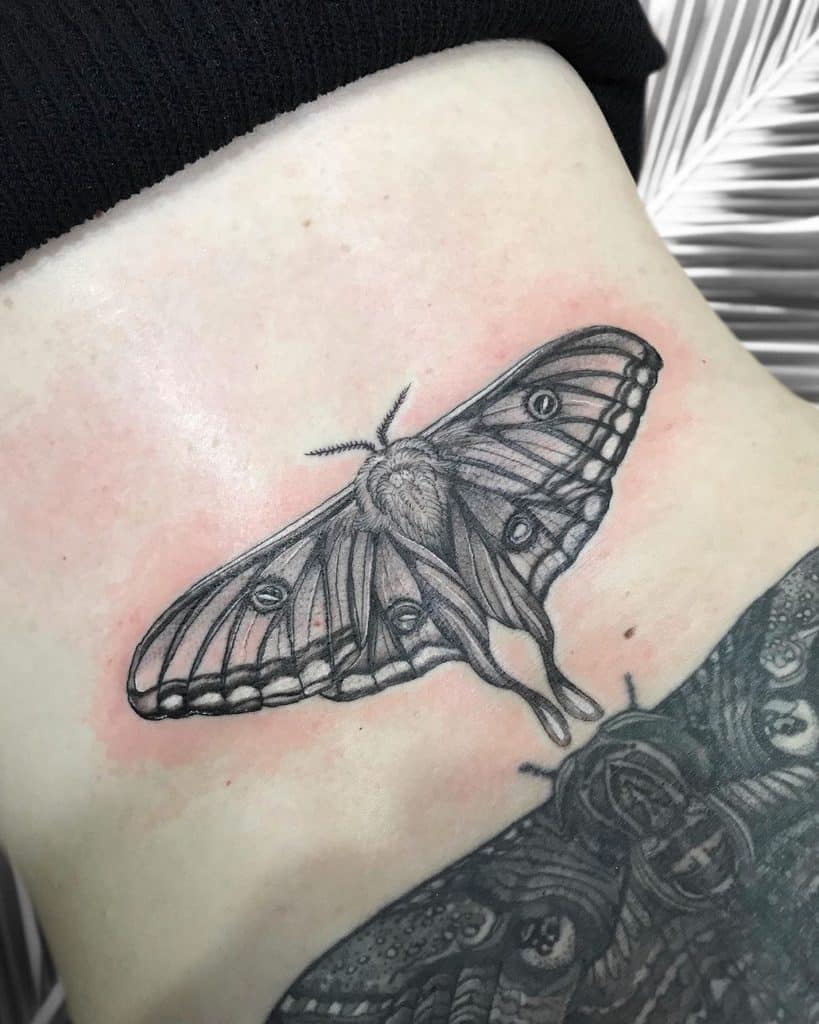 Tattoo uploaded by Obi  Luna moth mandala mandalatattoo lunamoth  mothtattoo tattoodo tattoooftheday  Tattoodo