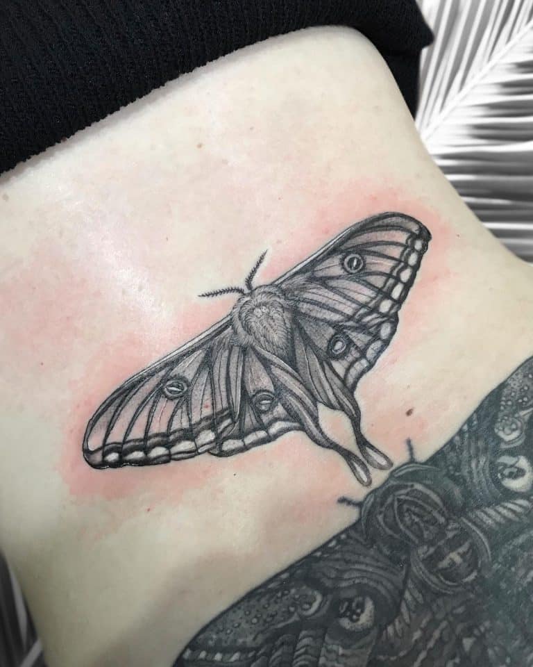 45 Amazing Luna Moth Tattoo Ideas