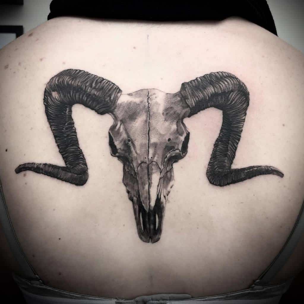 back ram skull tattoo farkas_daroczi