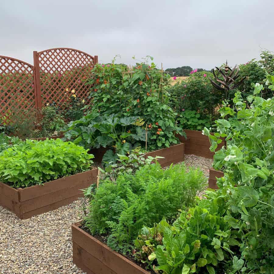 wood raised garden beds backyard