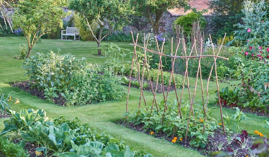 The Top 80 Vegetable Garden Ideas