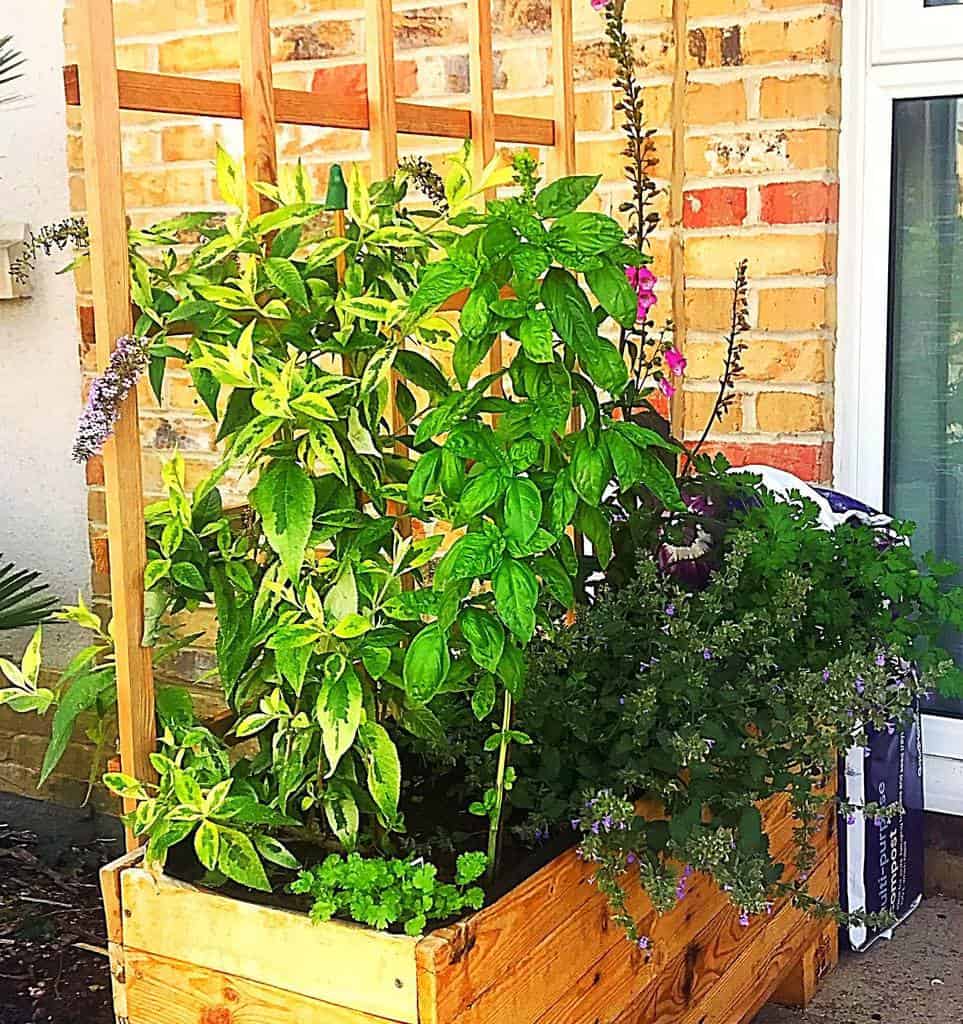 The Top 89 Herb Garden Ideas Landscaping and Gardening Ideas