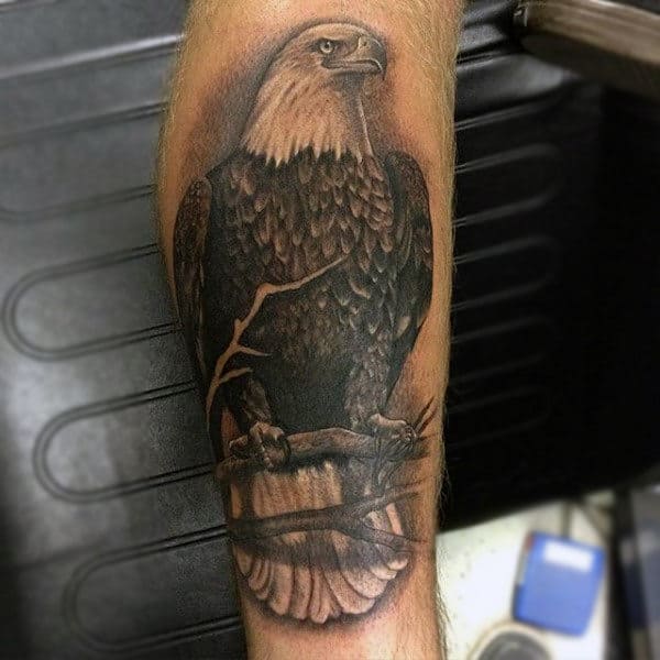 Bald Eagle Perched On A Twig Tattoo Men Calves