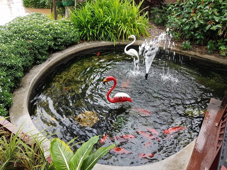 Beautiful Koi Pond Backyard Fountain