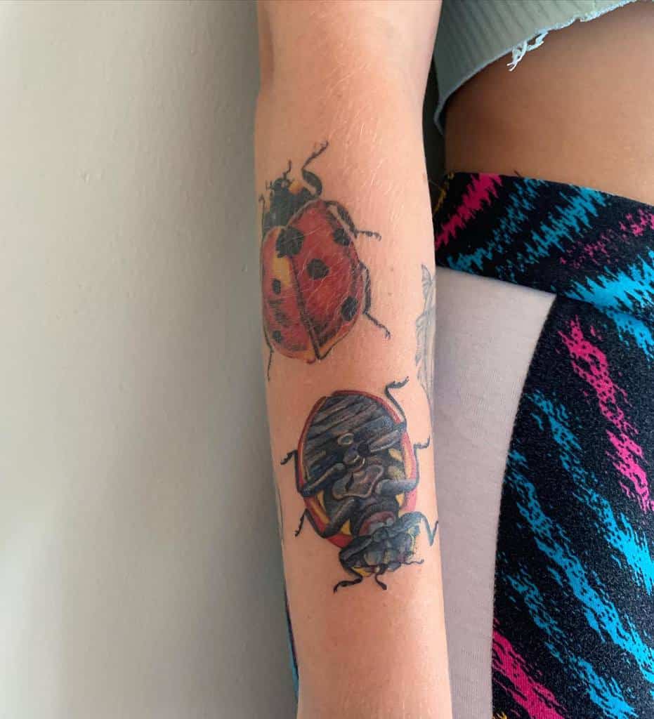 beetle-detailed-insect-ladybug-tattoo-mimi_d_tattoo