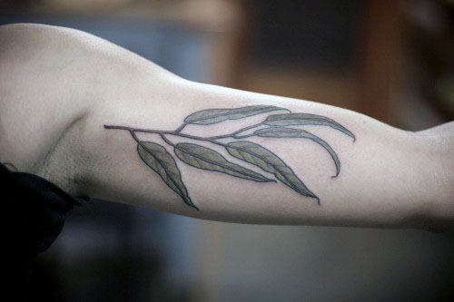 Bicep Olive Branch Male Tattoo Designs