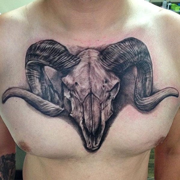 Big Horn Sheep Animal Skull Tattoo On Chest For Men