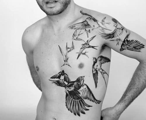 Bird Tattoos On Man