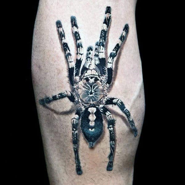 Black And White Ink Male Tattoo Of Tarantula Spider