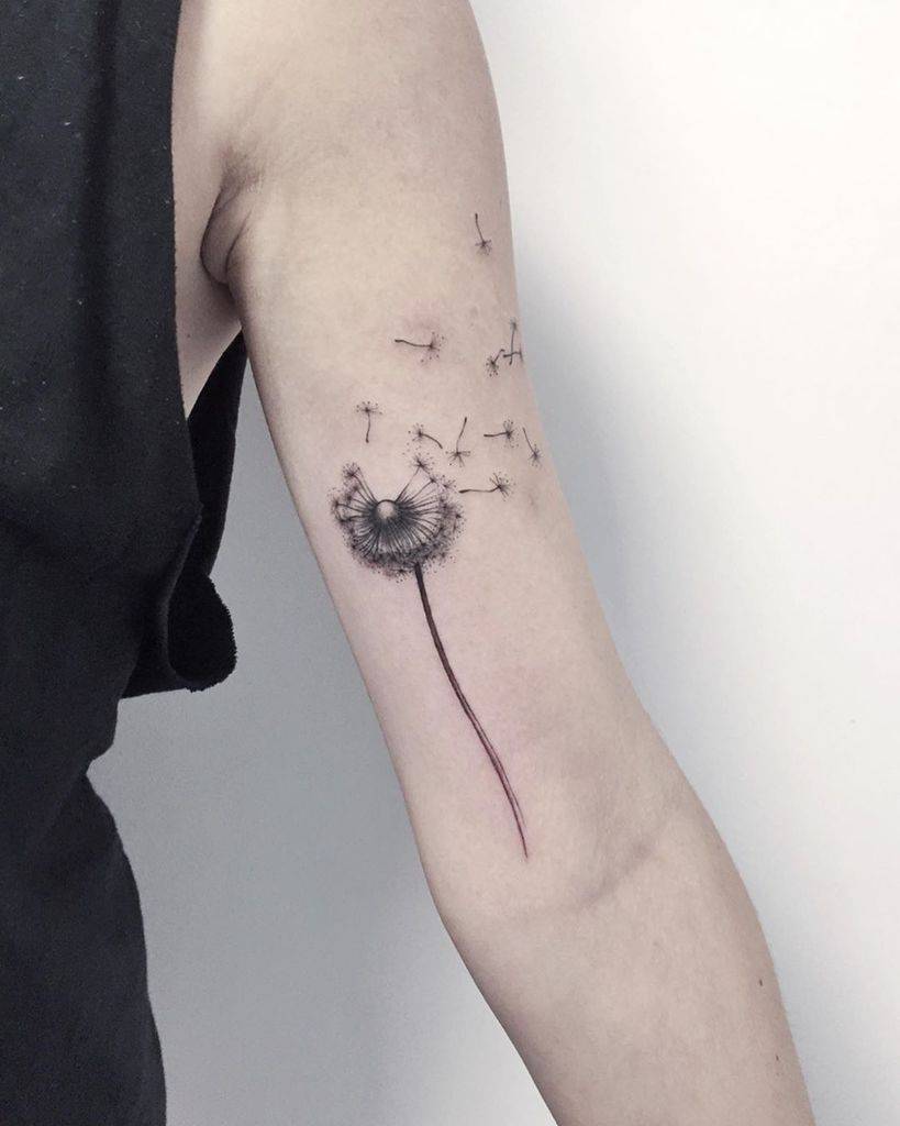dandelion tattoo, realistic flowers, fine black line