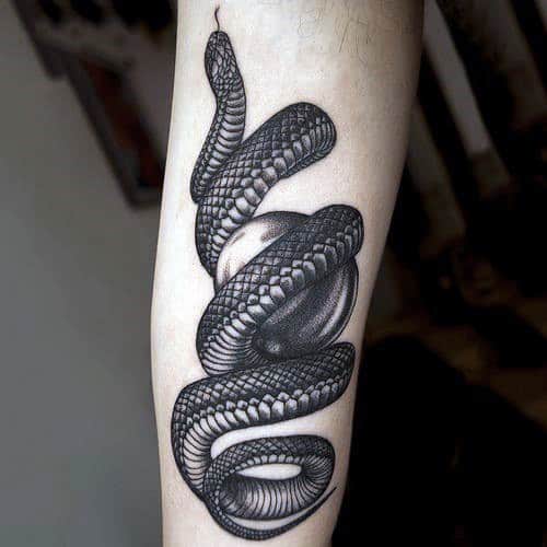 Black Forearm Asian Snake Male Tattoo