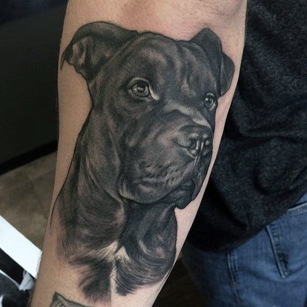 Black Ink Guys French Bulldog Tattoos On Outer Arm