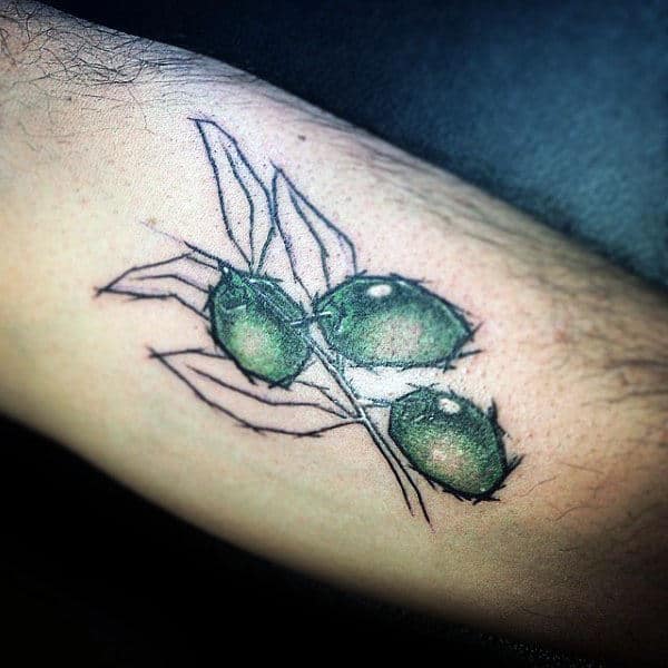 Black Ink Lines With Green Olives Mens Branch Tattoo On Forearm