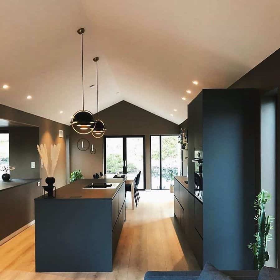 large spacious modern kitchen black cabinets and island cactus 