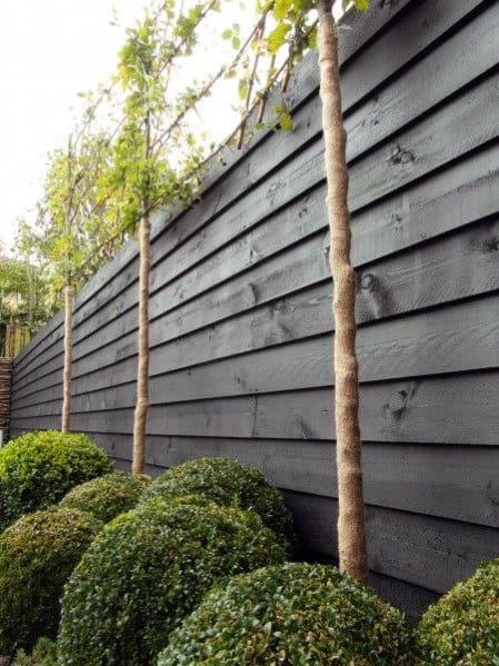 Black Stained Nice Wood Fence Exterior Ideas