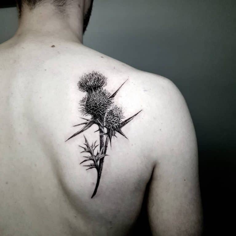 65 Astonishing Thistle Tattoo Ideas