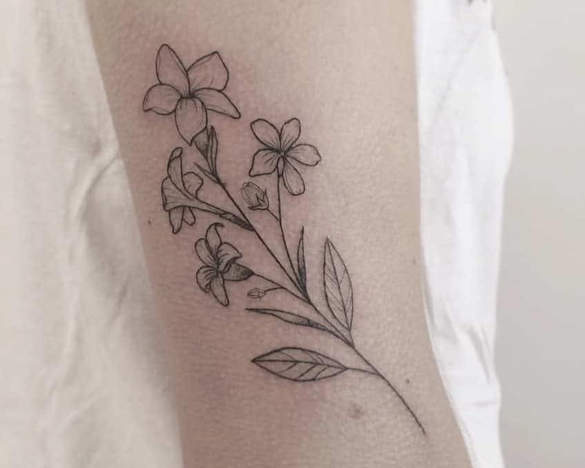 Jasmine Flower Tattoo Meaning - What Does Jasmine Ink Symbolize?