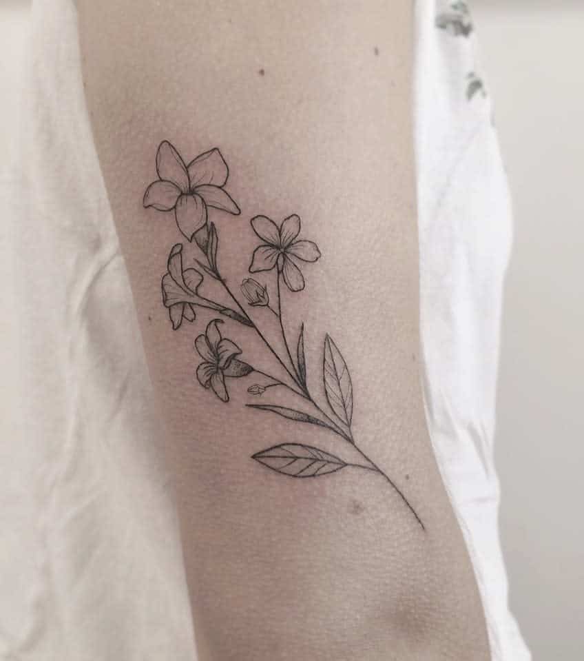 Blackwork Jasmine Flower Tattoos Itsrealtattoo