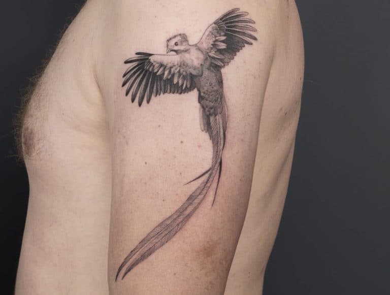 El Quetzal Tattoo Designs - wide 7