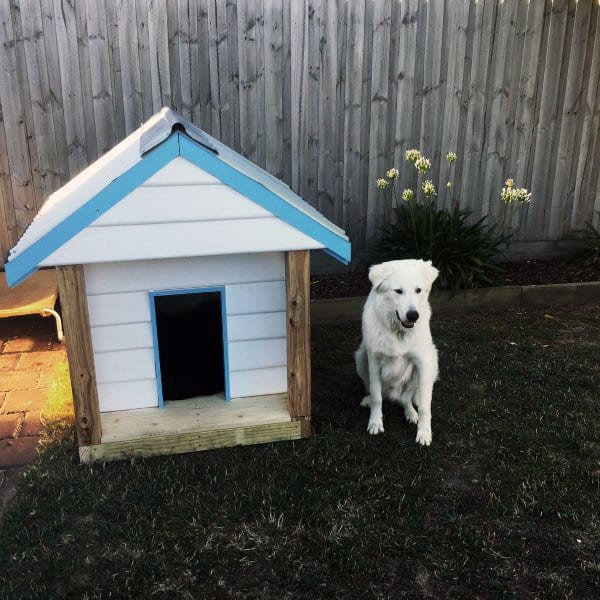 traditional realistic dog house