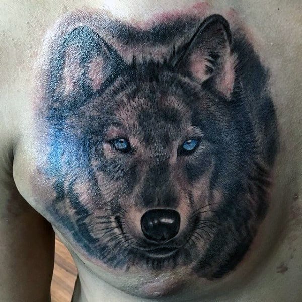 Blue Eyed Wolf Mens Shaded Chest Tattoo Designs