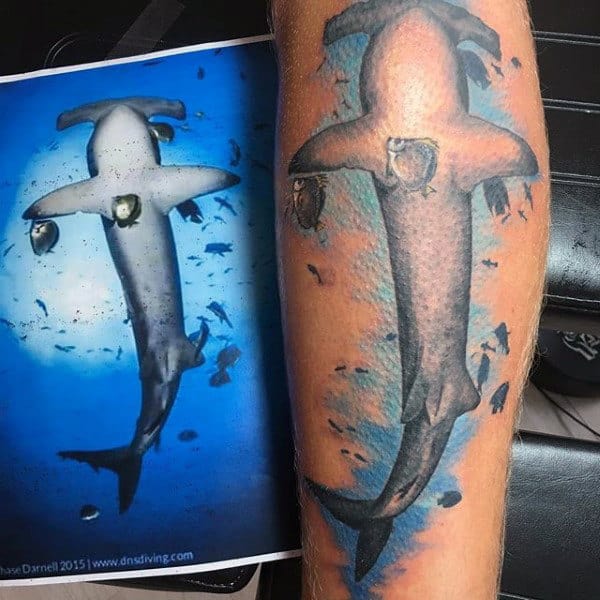 Blue Hammerhead Shark Arm Mens Tattoo