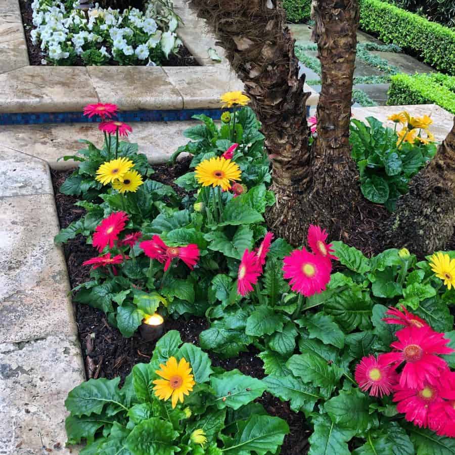 concrete planter box flower garden bed