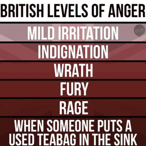 british-memes-8
