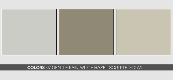 Brown Man Cave Color Combinations