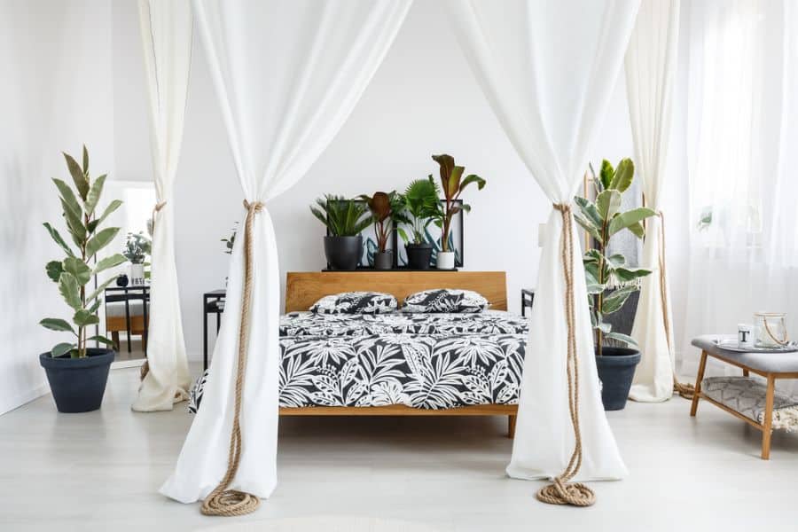 white bedroom plants curtain canopy 