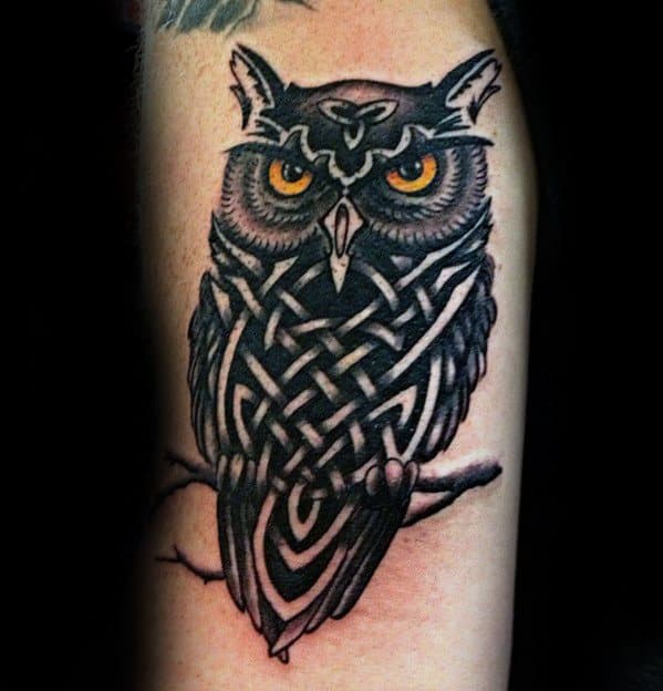 Celtic Owl Tattoos For Gentlemen On Arm