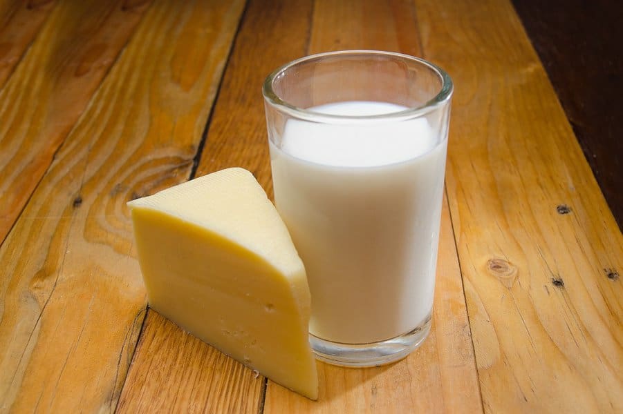 cheese and glass of milk