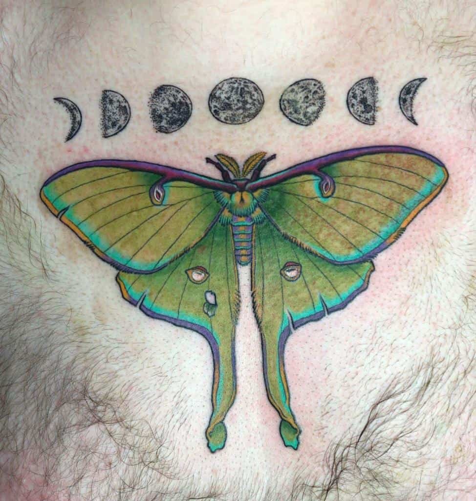 Chest Luna Moth Tattoo Anthonyjjc